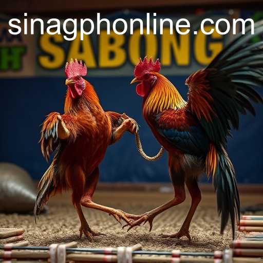 Exploring the World of Online Sabong: Understanding SINAGPH's Role